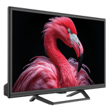 Strong 24" 12V GOOGLE TV