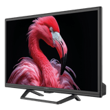 Strong 24" 12V GOOGLE TV